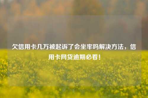 欠信用卡几万被起诉了会坐牢吗解决方法，信用卡网贷逾期必看！