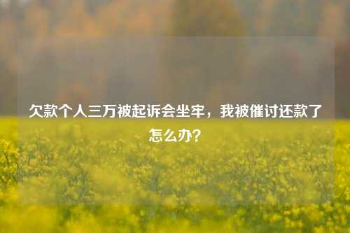 欠款个人三万被起诉会坐牢，我被催讨还款了怎么办？