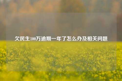 欠民生100万逾期一年了怎么办及相关问题