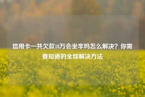 信用卡一共欠款18万会坐牢吗怎么解决？你需要知道的全部解决方法