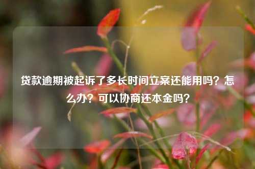 贷款逾期被起诉了多长时间立案还能用吗？怎么办？可以协商还本金吗？