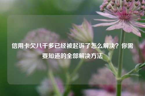 信用卡欠八千多已经被起诉了怎么解决？你需要知道的全部解决方法