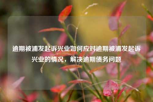 逾期被浦发起诉兴业如何应对逾期被浦发起诉兴业的情况，解决逾期债务问题