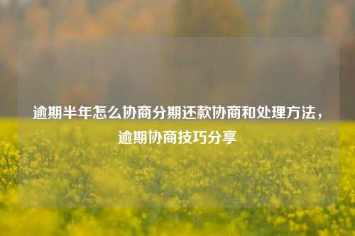 逾期半年怎么协商分期还款协商和处理方法，逾期协商技巧分享