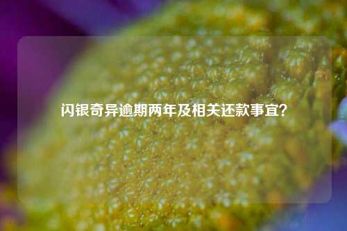 闪银奇异逾期两年及相关还款事宜？