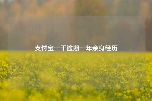 支付宝一千逾期一年亲身经历