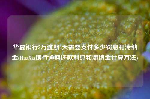 华夏银行5万逾期4天需要支付多少罚息和滞纳金(HuaXia银行逾期还款利息和滞纳金计算方法)