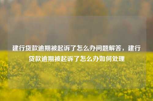 建行贷款逾期被起诉了怎么办问题解答，建行贷款逾期被起诉了怎么办如何处理