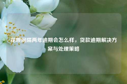 花呗间隔两年逾期会怎么样，贷款逾期解决方案与处理策略