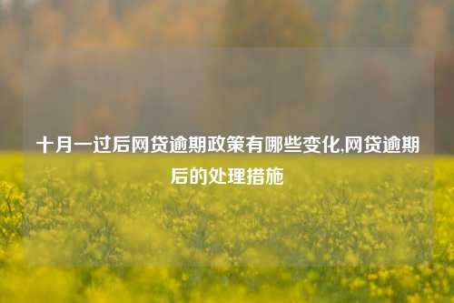 十月一过后网贷逾期政策有哪些变化,网贷逾期后的处理措施