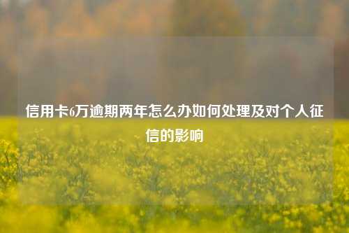 信用卡6万逾期两年怎么办如何处理及对个人征信的影响