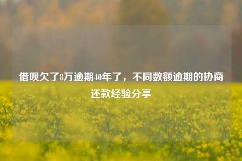 借呗欠了8万逾期40年了，不同数额逾期的协商还款经验分享