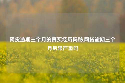 网贷逾期三个月的真实经历揭秘,网贷逾期三个月后果严重吗