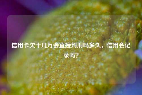 信用卡欠十几万会直接判刑吗多久，信用会记录吗？