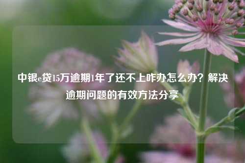 中银e贷15万逾期1年了还不上咋办怎么办？解决逾期问题的有效方法分享