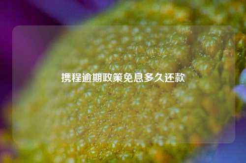 携程逾期政策免息多久还款