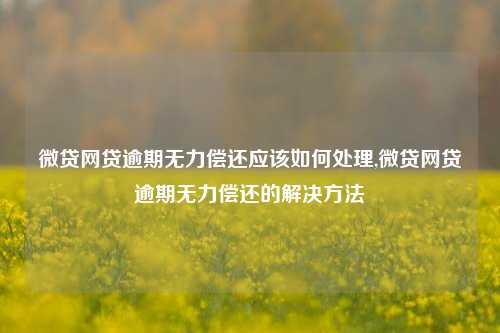 微贷网贷逾期无力偿还应该如何处理,微贷网贷逾期无力偿还的解决方法