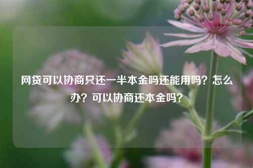 网贷可以协商只还一半本金吗还能用吗？怎么办？可以协商还本金吗？