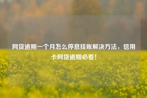 网贷逾期一个月怎么停息挂账解决方法，信用卡网贷逾期必看！