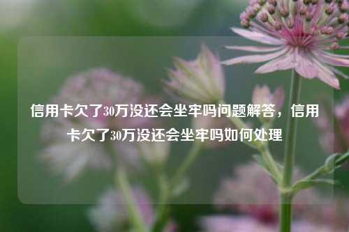 信用卡欠了30万没还会坐牢吗问题解答，信用卡欠了30万没还会坐牢吗如何处理