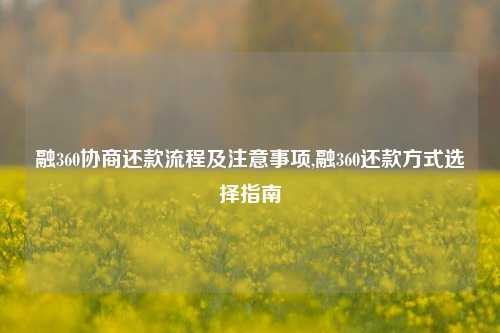 融360协商还款流程及注意事项,融360还款方式选择指南