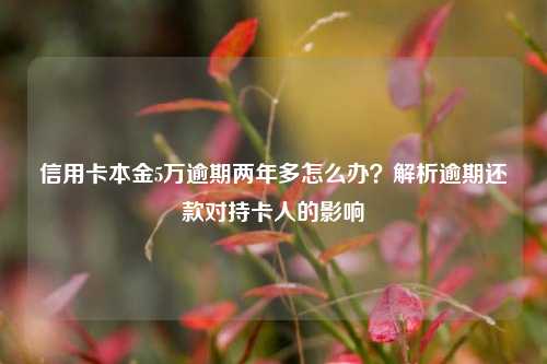 信用卡本金5万逾期两年多怎么办？解析逾期还款对持卡人的影响