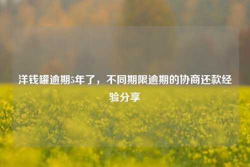 洋钱罐逾期5年了，不同期限逾期的协商还款经验分享