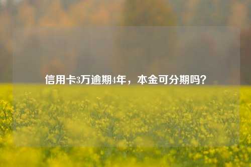 信用卡3万逾期4年，本金可分期吗？