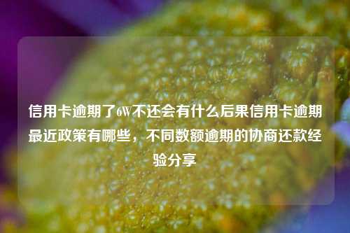 信用卡逾期了6W不还会有什么后果信用卡逾期最近政策有哪些，不同数额逾期的协商还款经验分享