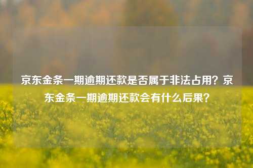 京东金条一期逾期还款是否属于非法占用？京东金条一期逾期还款会有什么后果？