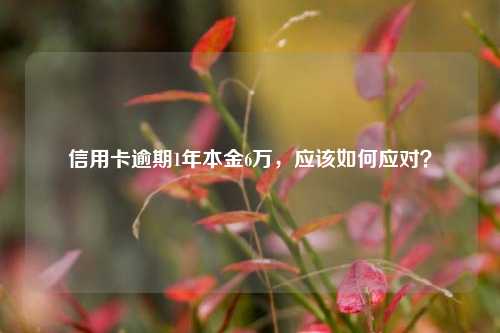 信用卡逾期1年本金6万，应该如何应对？