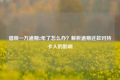 借呗一万逾期2年了怎么办？解析逾期还款对持卡人的影响