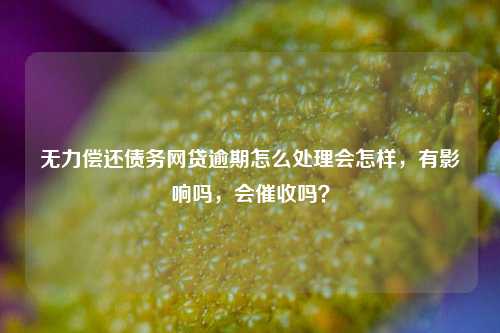 无力偿还债务网贷逾期怎么处理会怎样，有影响吗，会催收吗？