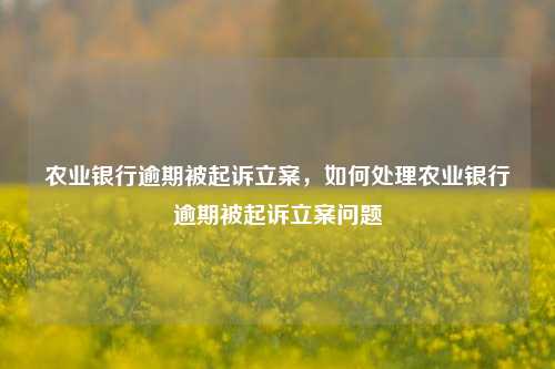 农业银行逾期被起诉立案，如何处理农业银行逾期被起诉立案问题