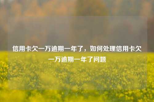 信用卡欠一万逾期一年了，如何处理信用卡欠一万逾期一年了问题