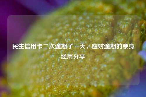 民生信用卡二次逾期了一天，应对逾期的亲身经历分享