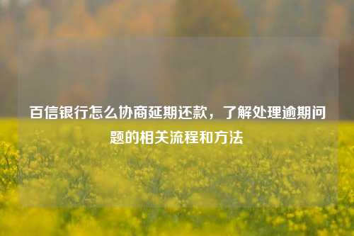 百信银行怎么协商延期还款，了解处理逾期问题的相关流程和方法