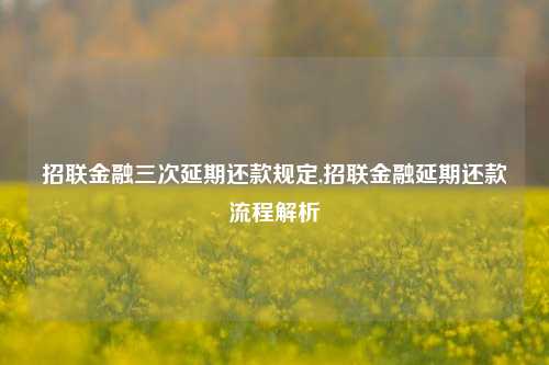 招联金融三次延期还款规定,招联金融延期还款流程解析