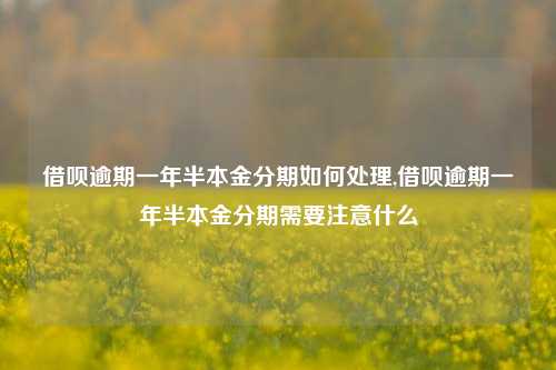 借呗逾期一年半本金分期如何处理,借呗逾期一年半本金分期需要注意什么