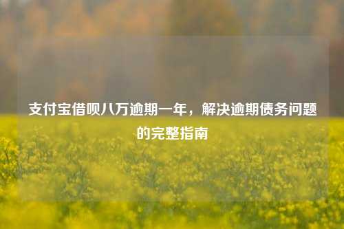 支付宝借呗八万逾期一年，解决逾期债务问题的完整指南