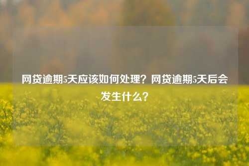 网贷逾期5天应该如何处理？网贷逾期5天后会发生什么？