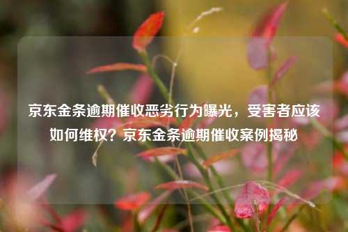 京东金条逾期催收恶劣行为曝光，受害者应该如何维权？京东金条逾期催收案例揭秘