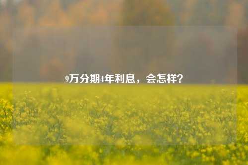 9万分期4年利息，会怎样？