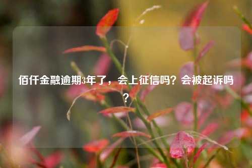 佰仟金融逾期3年了，会上征信吗？会被起诉吗？