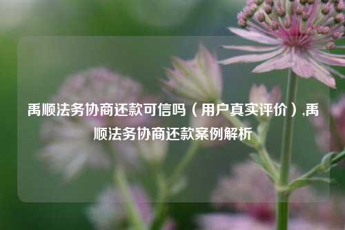 禹顺法务协商还款可信吗（用户真实评价）,禹顺法务协商还款案例解析