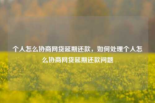 个人怎么协商网贷延期还款，如何处理个人怎么协商网贷延期还款问题