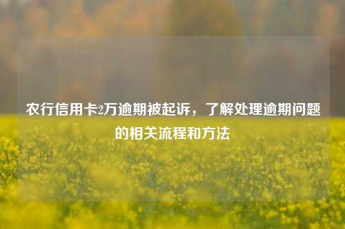 农行信用卡2万逾期被起诉，了解处理逾期问题的相关流程和方法