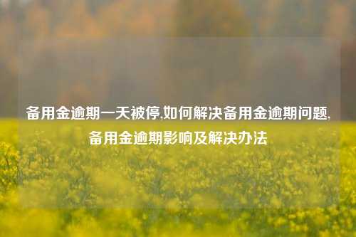 备用金逾期一天被停,如何解决备用金逾期问题,备用金逾期影响及解决办法