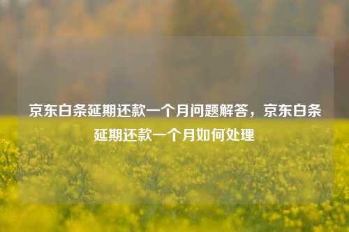 京东白条延期还款一个月问题解答，京东白条延期还款一个月如何处理