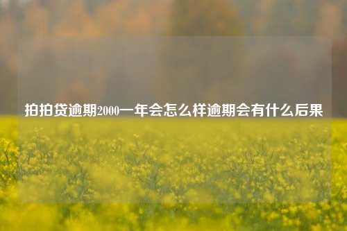 拍拍贷逾期2000一年会怎么样逾期会有什么后果